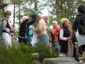 2014-06-05 11-00-21 Foret de Fontainebleau FGn